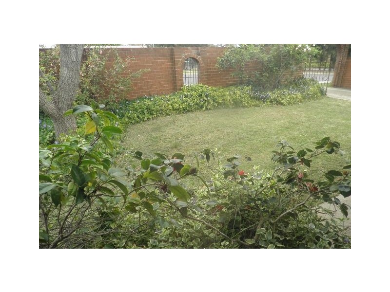 10 Walhallow Street, Hawker ACT 2614