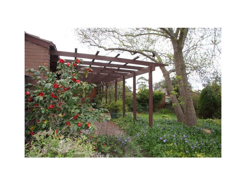 10 Walhallow Street, Hawker ACT 2614