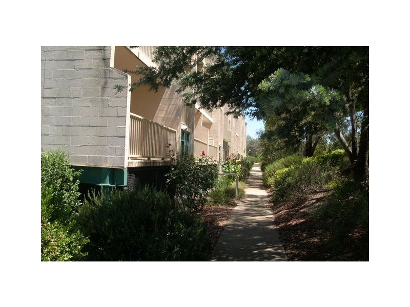 72/53 McMillan Crescent, Griffith ACT 2603