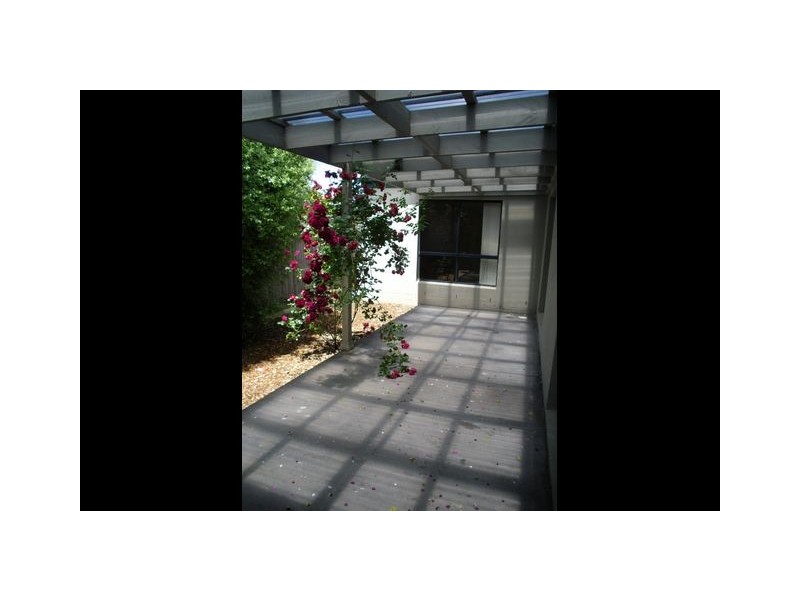 36 Ayrton Street, Gungahlin ACT 2912