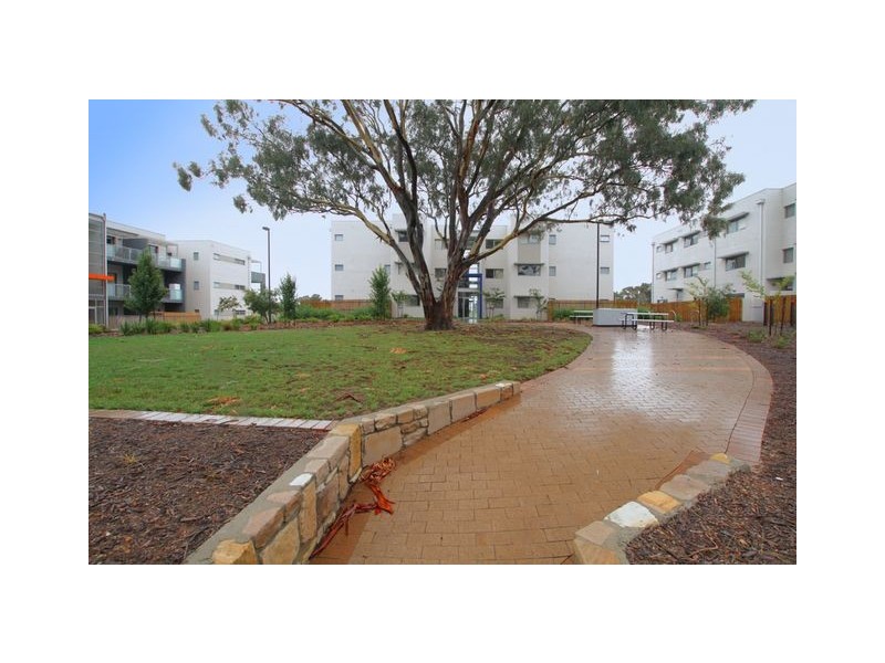 59/75 Elizabeth Jolley Crescent, Franklin ACT 2913