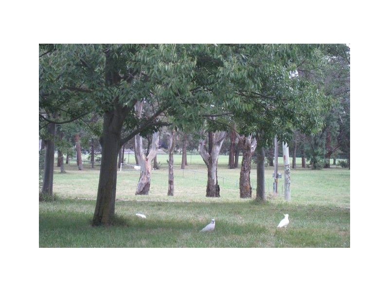 4/6 Hay Street, O’connor ACT 2602