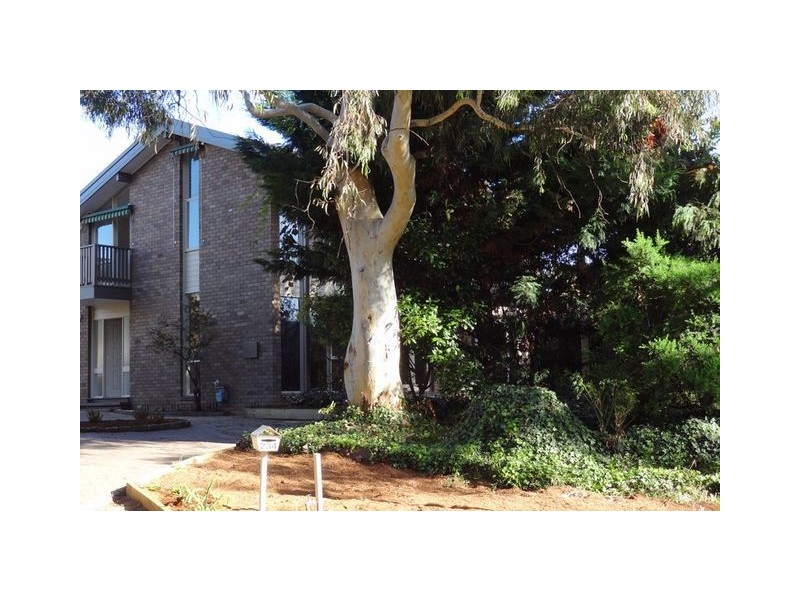 234 Beasley Street, Farrer ACT 2607