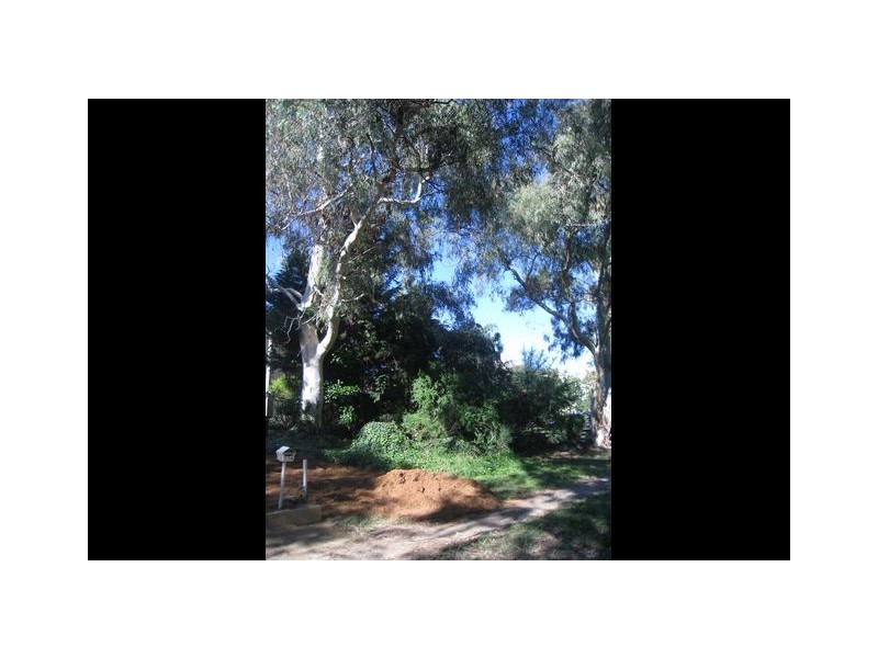 234 Beasley Street, Farrer ACT 2607