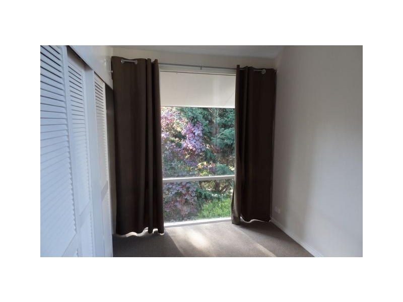 234 Beasley Street, Farrer ACT 2607