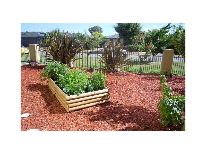 5a Waghorn Street, Gungahlin ACT 2912