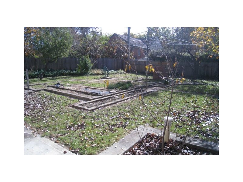 23 Hovea Street, O’connor ACT 2602
