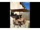 53 Francis Burke Street, Gungahlin ACT 2912