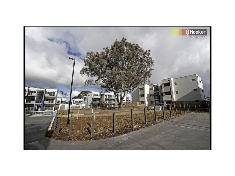 52/75 Elizabeth Jolley Crescent, Franklin ACT 2913