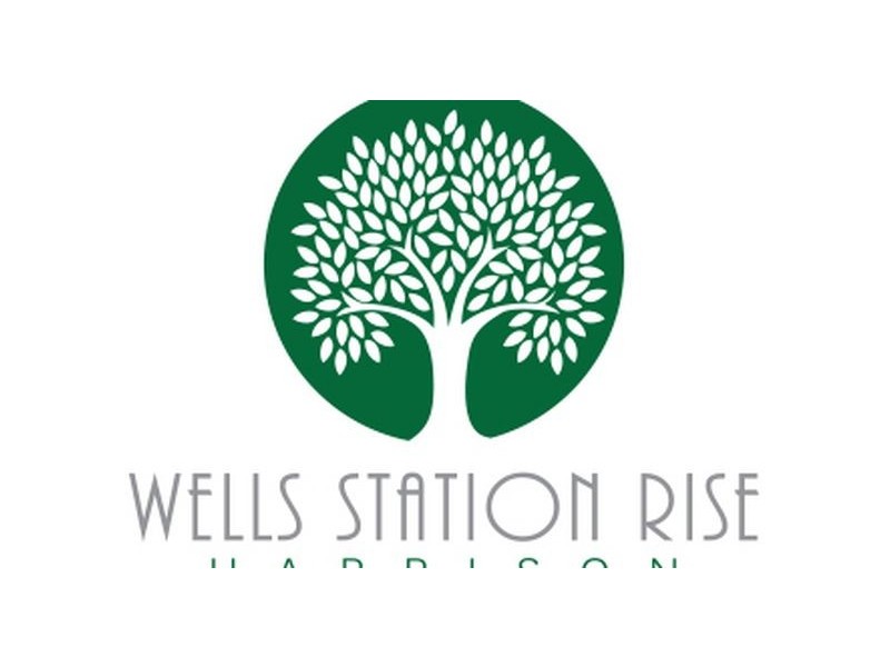 Wells Station Rise/Block 1 Section 163, Harrison ACT 2914