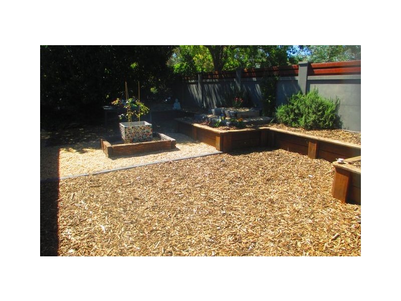 54a Belconnen Way, Page ACT 2614