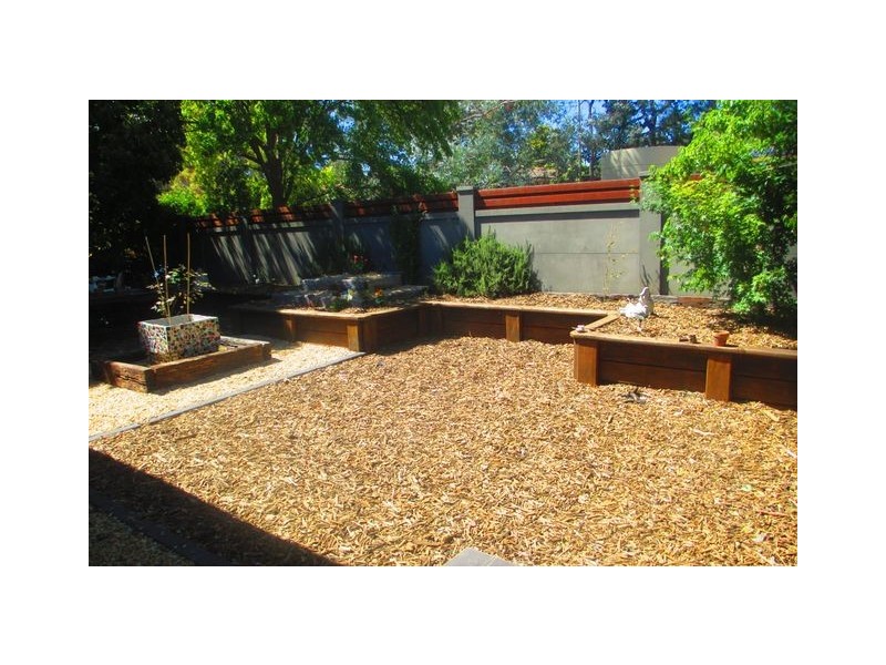 54a Belconnen Way, Page ACT 2614