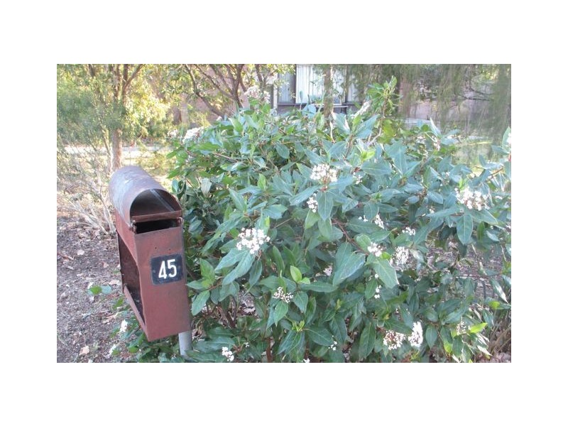 45 Booroondara, Reid ACT 2612