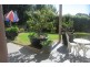 10B Claxton Crescent, Lyneham ACT 2602