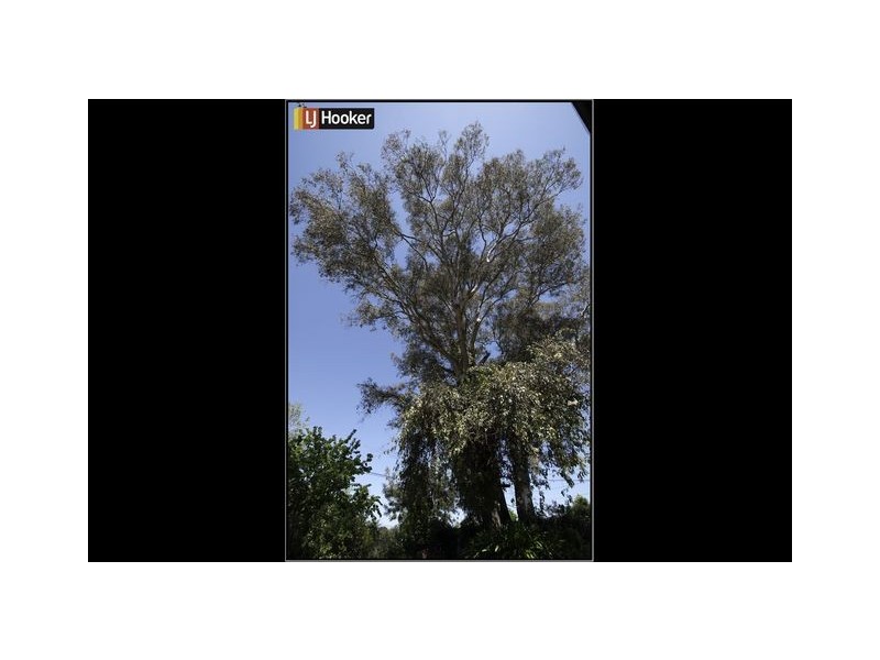 17 Mannheim Street, Kambah ACT 2902