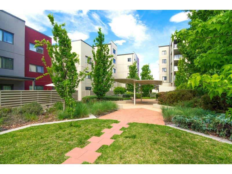 71/1 Braybrooke Street, Bruce ACT 2617