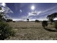 84 Roden Cutler Drive, Bonner ACT 2914