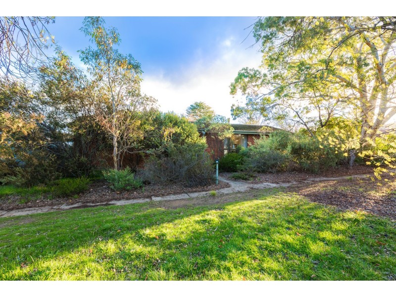 3 Swainsona Street, O’connor ACT 2602