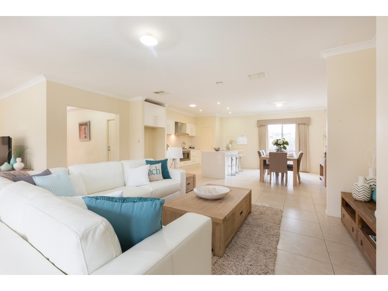 17 Coolibah Street, O’connor ACT 2602