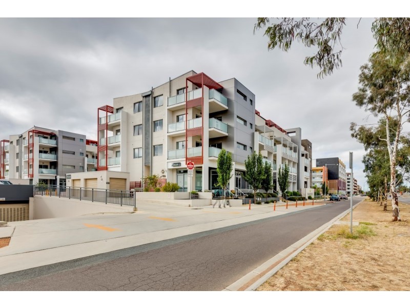 56/11 Wimmera Street, Harrison ACT 2914