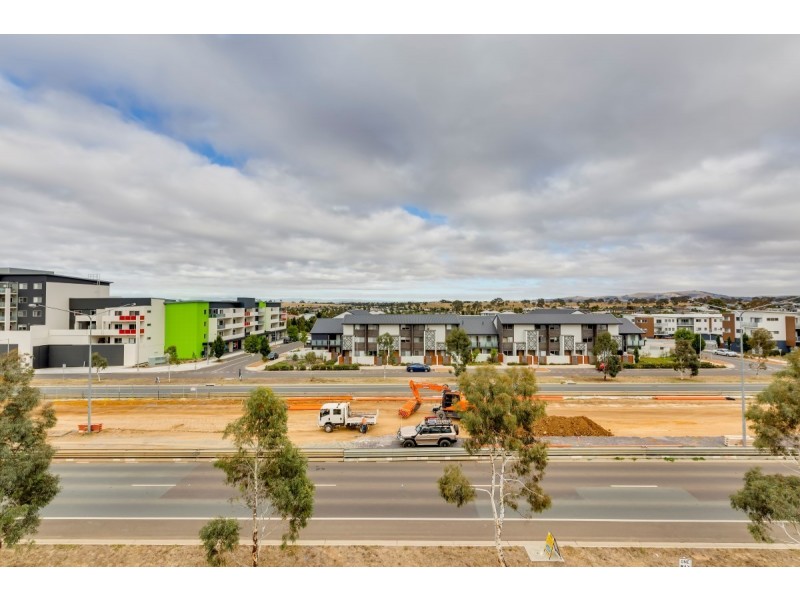 56/11 Wimmera Street, Harrison ACT 2914