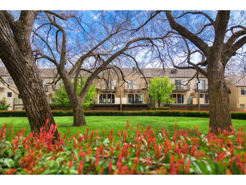 33/48 Bluebell Street, O’connor ACT 2602
