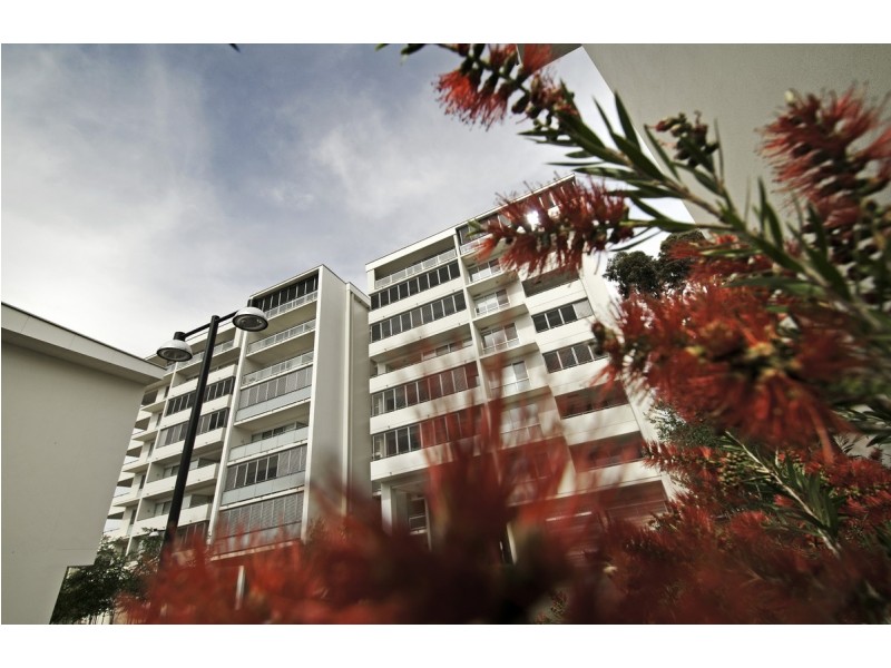 501/155 Northbourne Avenue, Turner ACT 2612