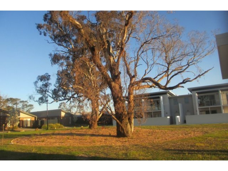 44 Otway Street, Harrison ACT 2914