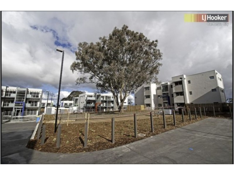 52/75 Elizabeth Jolley Crescent, Franklin ACT 2913
