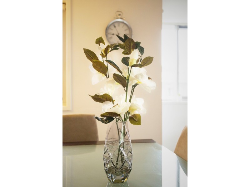 303/17 Dooring Street, Braddon ACT 2612