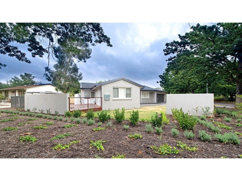 35 Wilshire Street, Dickson ACT 2602