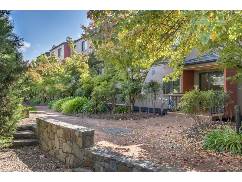 10/38 Watson Street, Turner ACT 2612