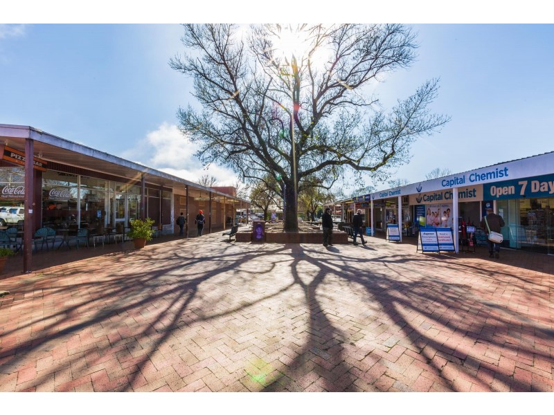 33 Quandong Street, O’connor ACT 2602