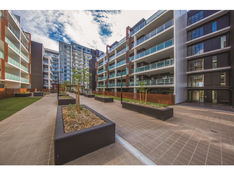 243/12 Limburg Way, Greenway ACT 2900