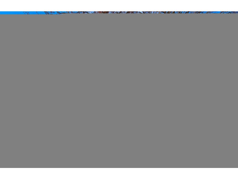 85 Jervois Street, Deakin ACT 2600