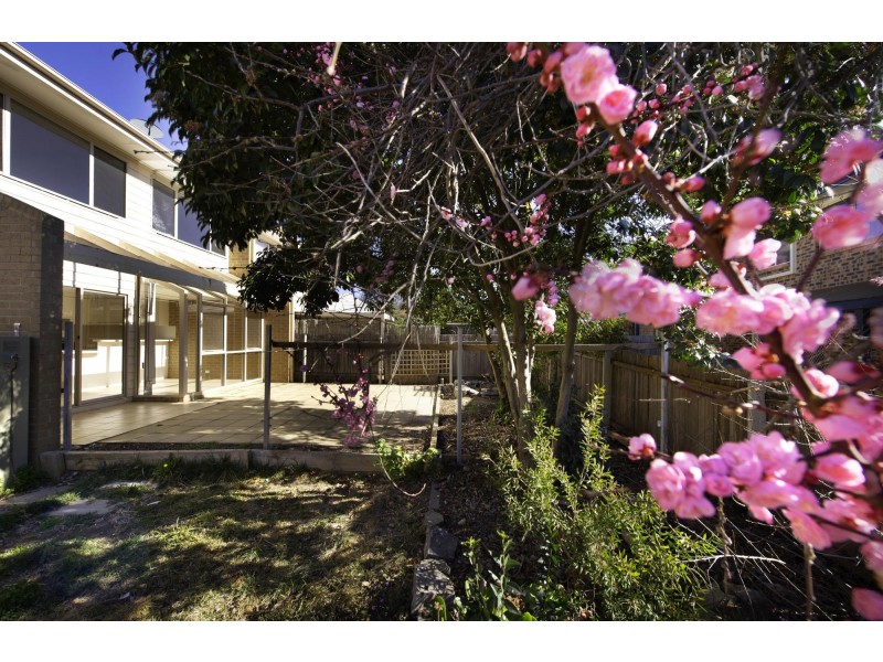 2/45 Weddin Circuit, Palmerston ACT 2913