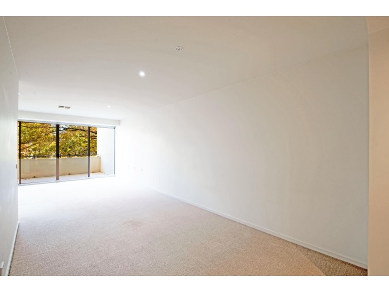 5/36 Forbes Street, Turner ACT 2612