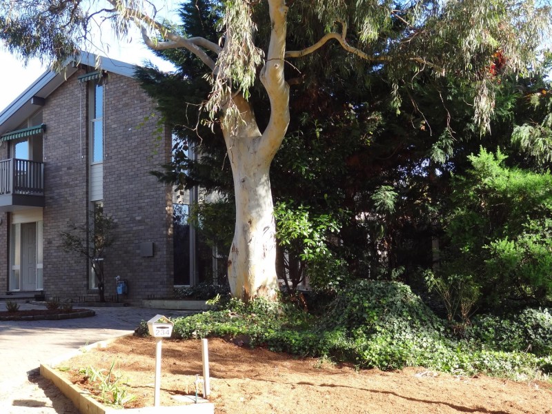 234 Beasley Street, Farrer ACT 2607