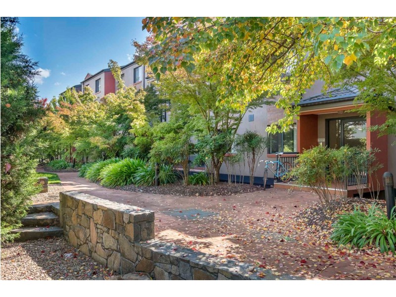 10/38 Watson Street, Turner ACT 2612