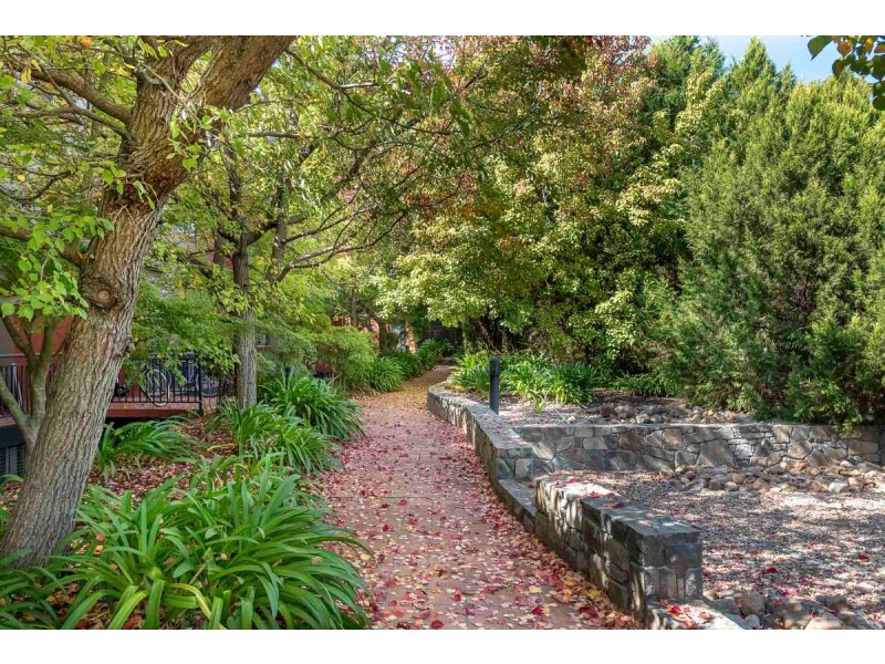 10/38 Watson Street, Turner ACT 2612