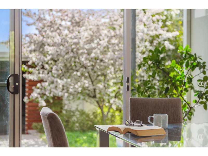 29 Fairfield Street, Crace ACT 2911