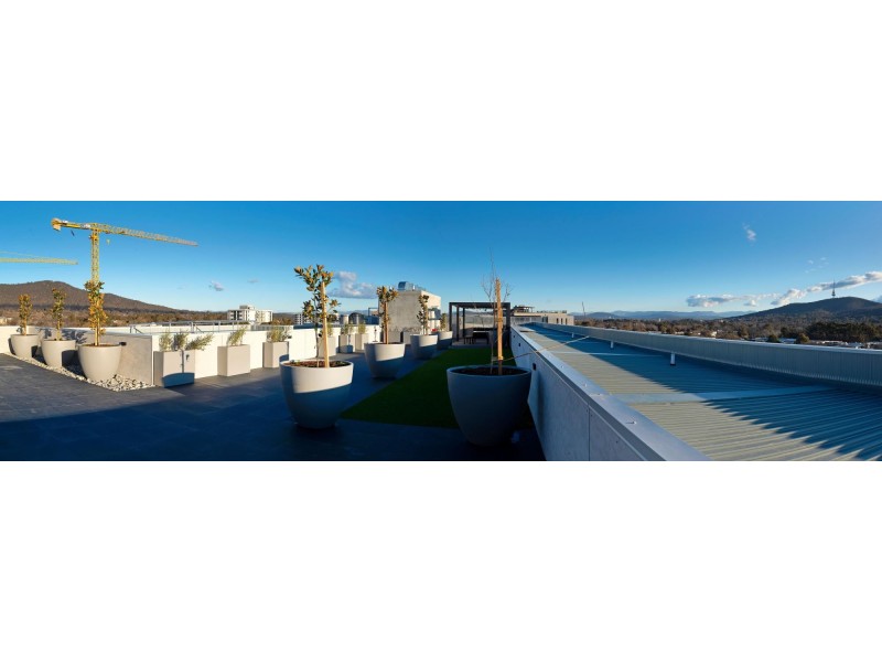 613/253 Northbourne Avenue, Lyneham ACT 2602