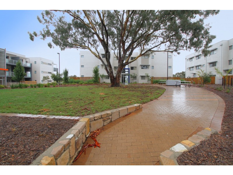 59/75 Elizabeth Jolley Crescent, Franklin ACT 2913