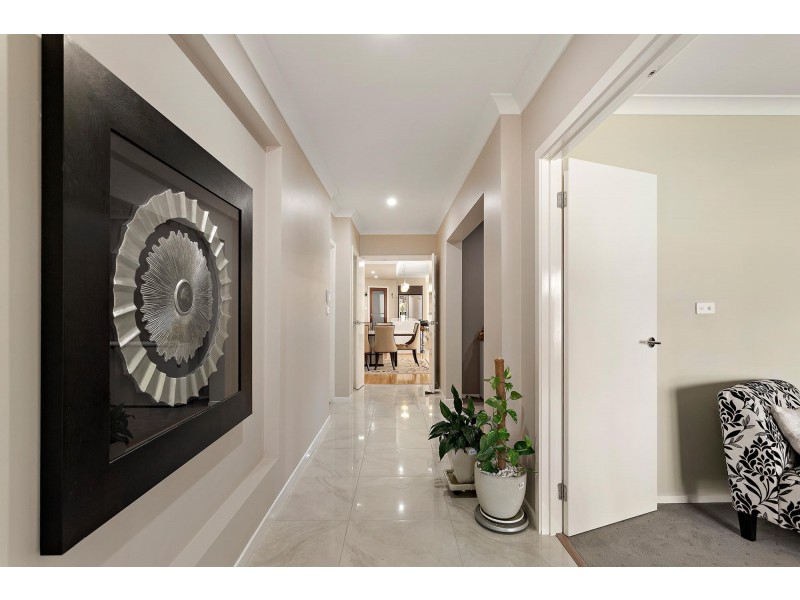 15 Butterfish Street, Harrison ACT 2914