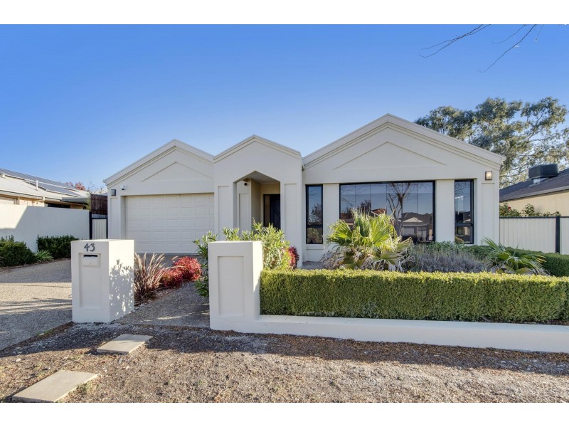 43 Hollingsworth Street, Gungahlin ACT 2912