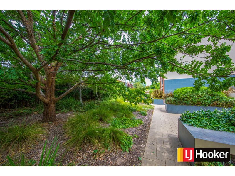 16/30 Watson Street, Turner ACT 2612