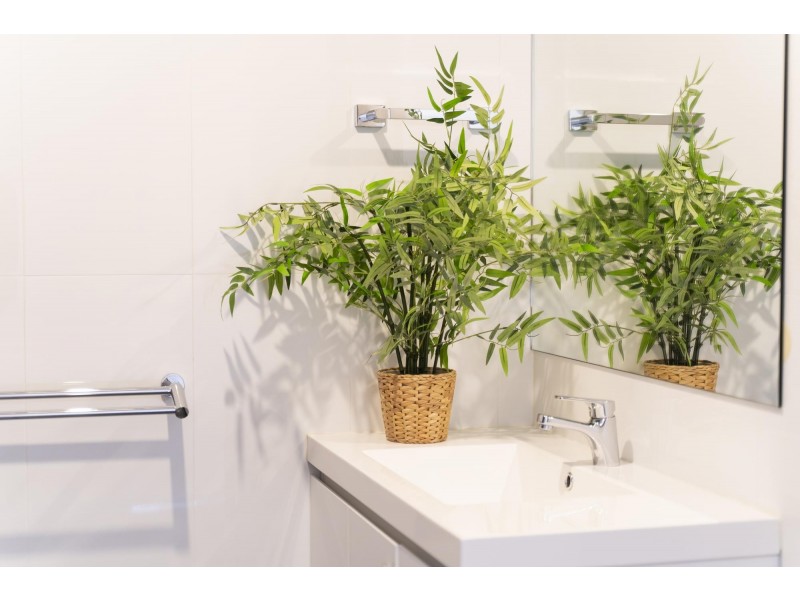 20/2 Manning Clark Crescent, Franklin ACT 2913