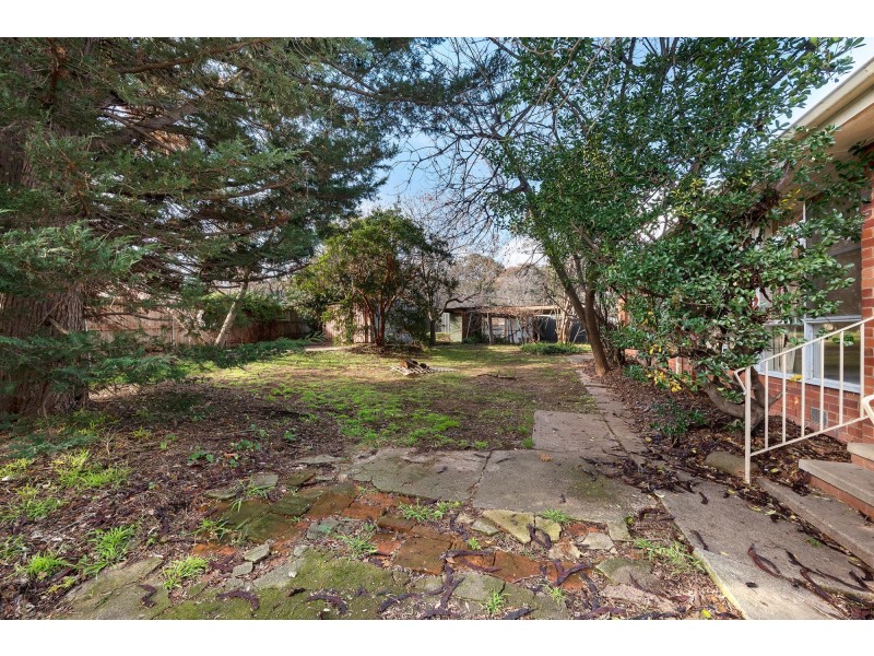 15 Haddon Street, Hackett ACT 2602