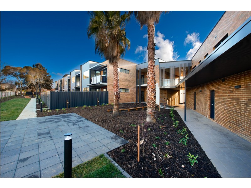 31/14 Hartley Street, Turner ACT 2612