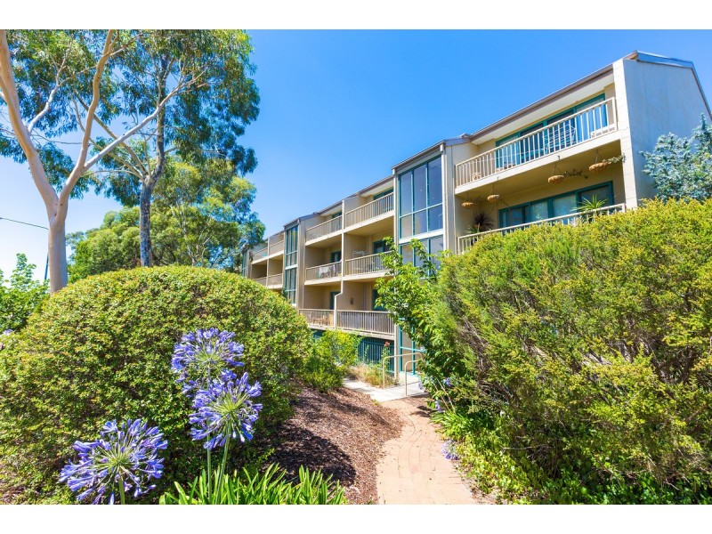 72/53 McMillan Crescent, Griffith ACT 2603
